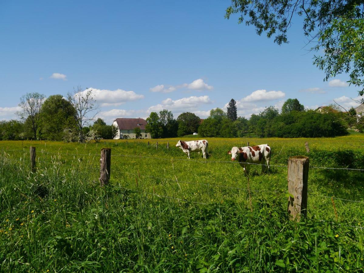 La Maison Au Vert Melincourt Exteriér fotografie